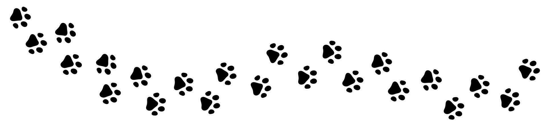 Vector paw trail of animal footprint. Dog or cat tracks isolated on white background.