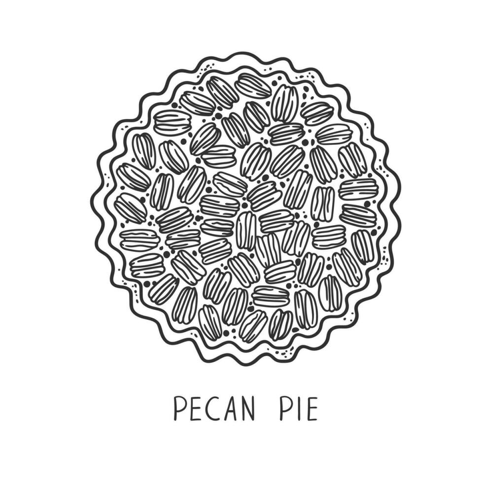 Hand drawn pecan pie illustration. Traditional thanksgiving baking cake with pecan nuts top view vector