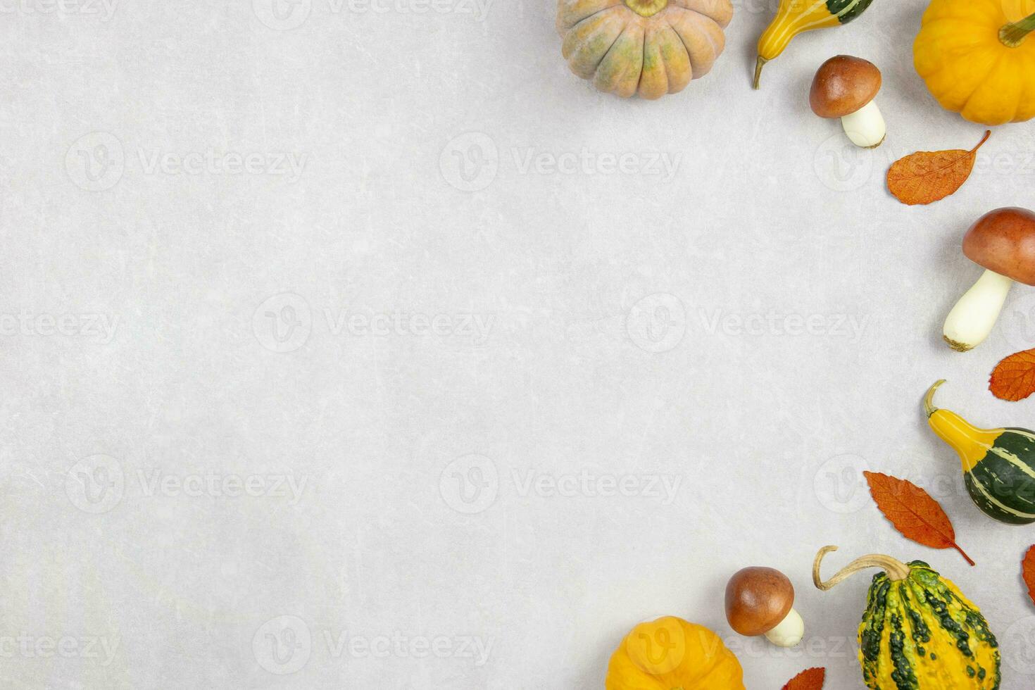 Fall flat lay with colorful pumpkins, mushrooms and fallen leaves on gray concrete background. Autumn mockup with decoration. Top view. Copy space. photo