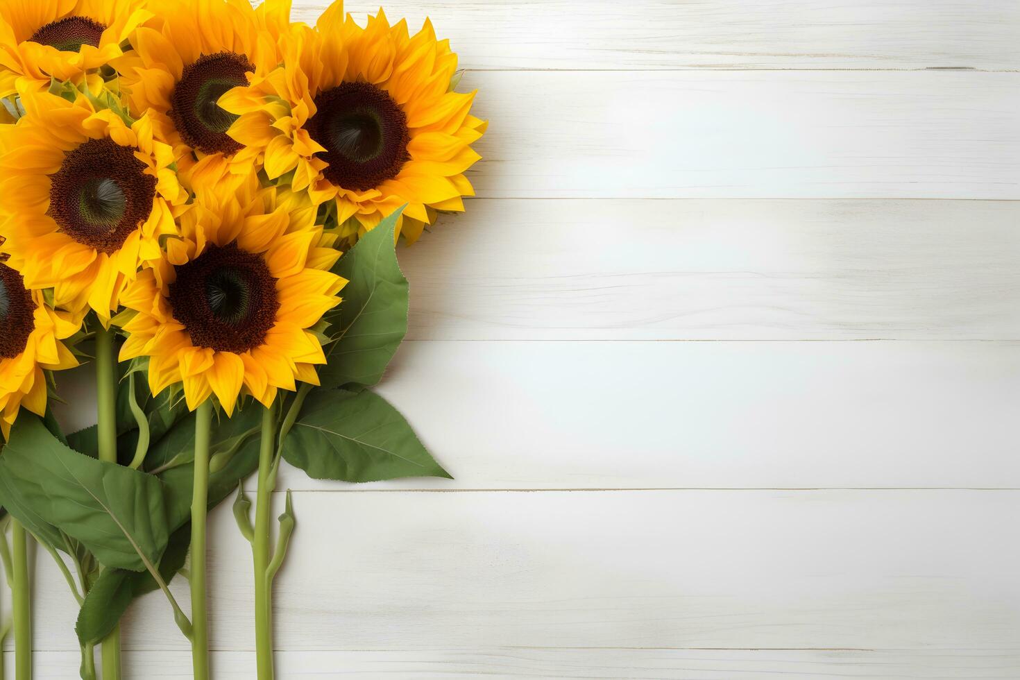 Sunflowers on white wooden background. Valentine's, womens, mothers day, birthday or wedding, summer flowers flat lay. Top view. Copy space. Generated AI. photo