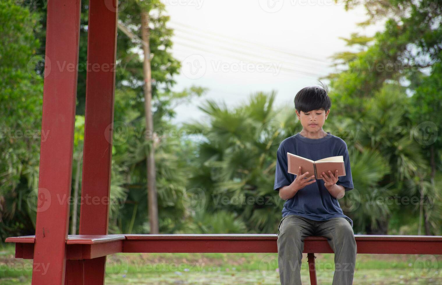 asiático joven chico sentado leyendo libro a orilla del lago pabellón en jardín, niños leyendo libro y aprendiendo, chico con libro, concepto de educación y naturales,naturales y puesta de sol Antecedentes, sostenibilidad. foto