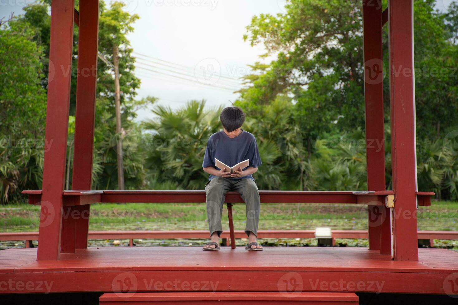 Asian young boy sitting reading book at lakeside pavilion in garden,children reading book and learning,boy with book, concept of education and natural,natural and sunset background,sustainability. photo
