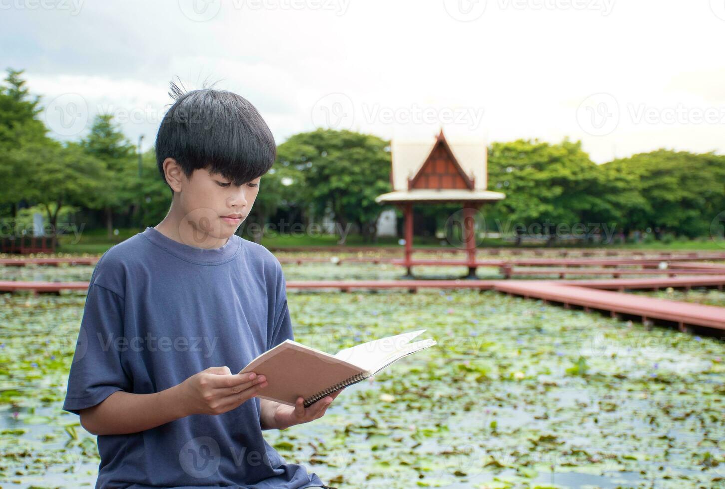 asiático chico leyendo libro a orilla y cielo luz de sol fondo,cerrar arriba chico sentado, chico azul camisa, niños con libro, concepto aprendizaje y educación natural hermosa antecedentes. foto