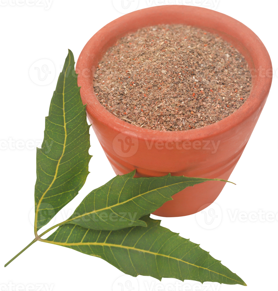 médicinal neem feuilles avec poudre png