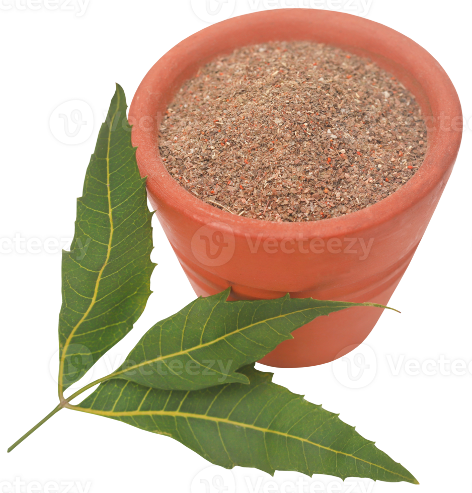 Medicinal neem leaves with powder png