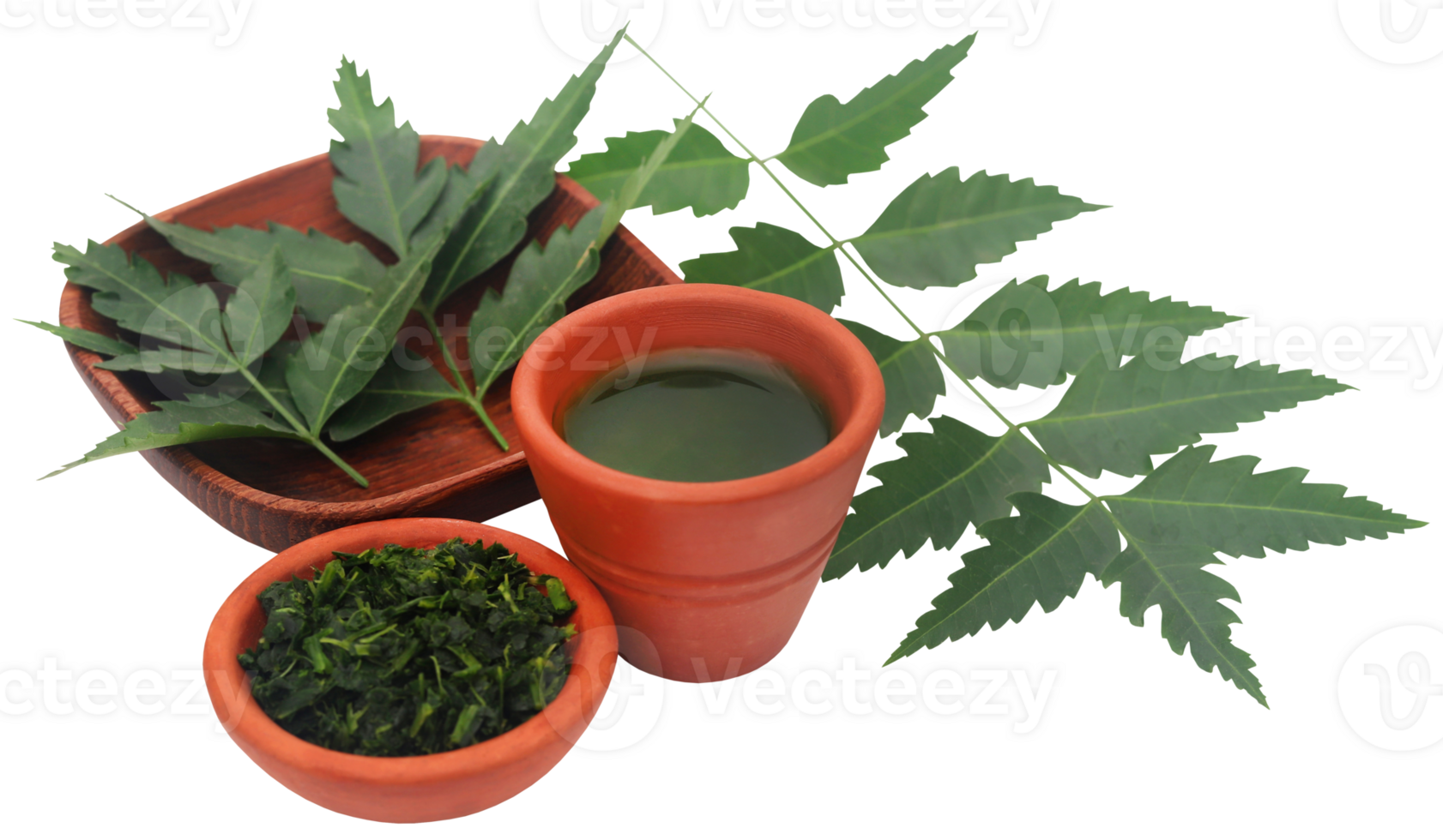 Medicinal neem leaves with extract 31097207 PNG