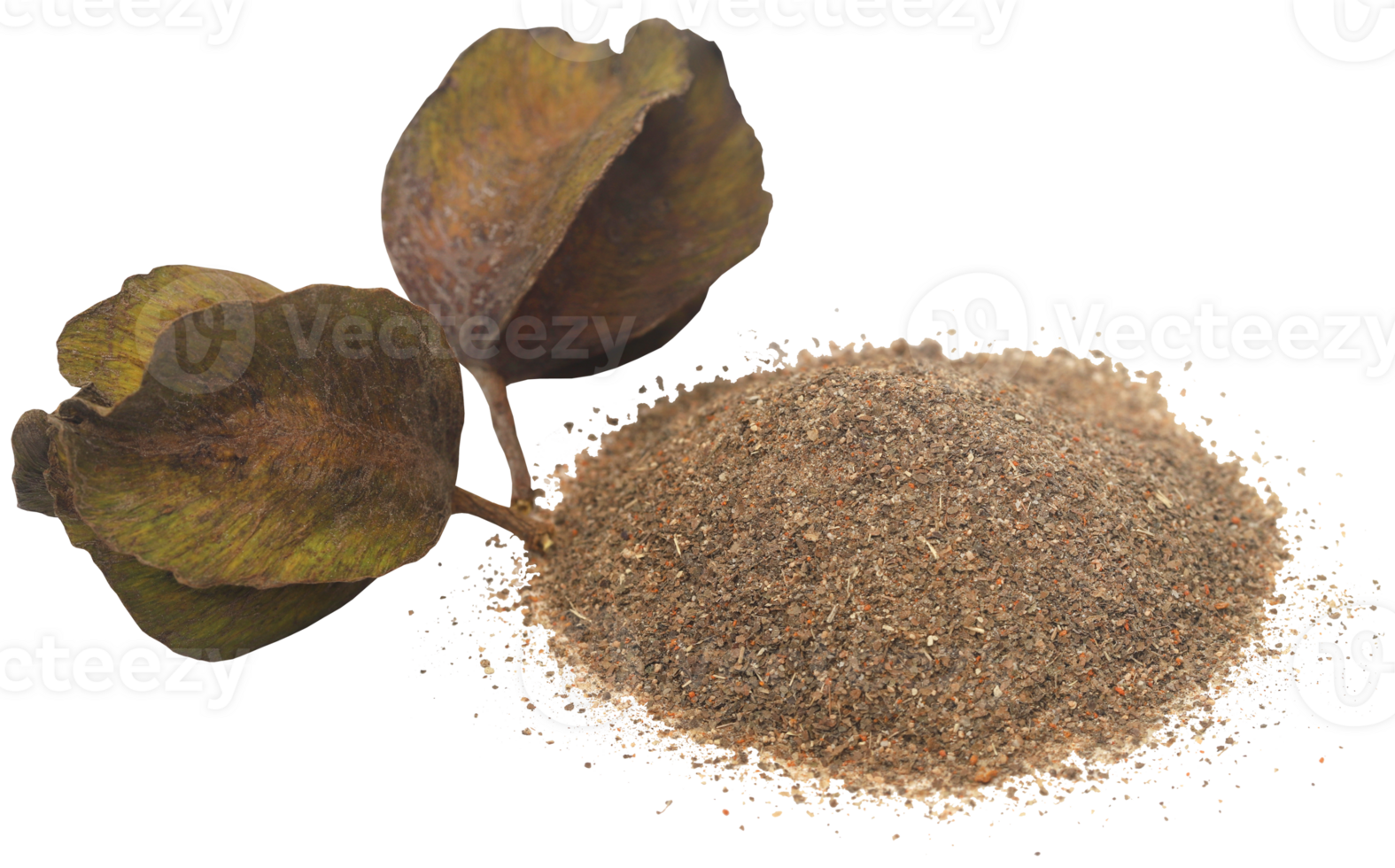 Ayurvedic arjun fruit with ground powder png