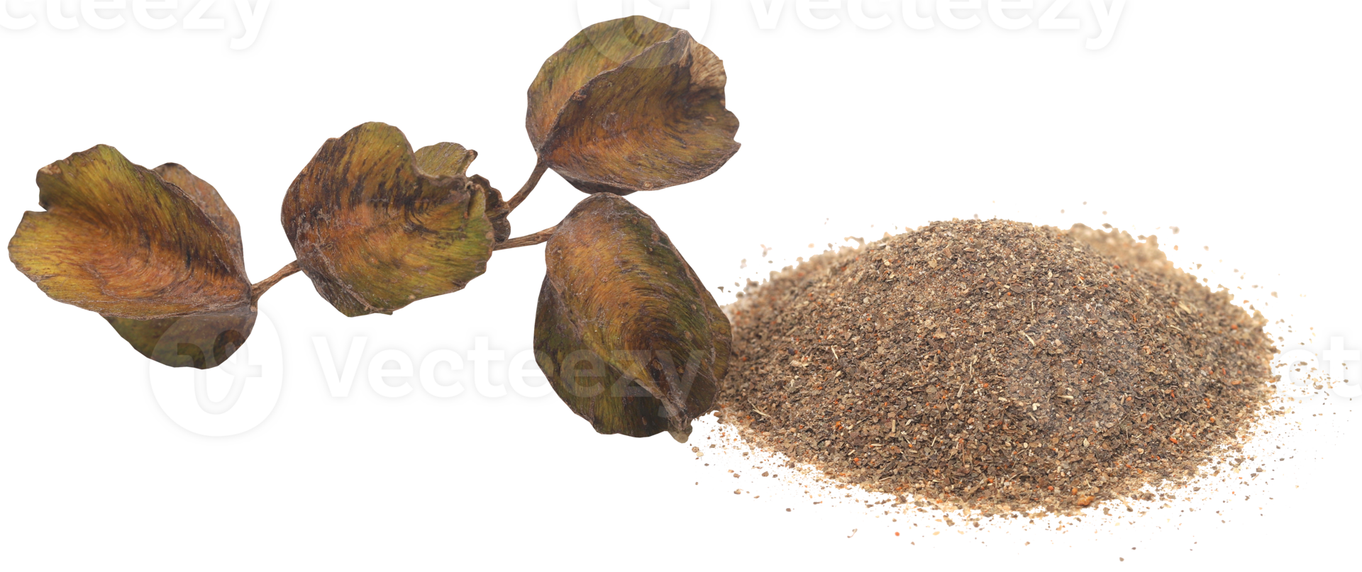 Ayurvedic arjun fruit with ground powder png