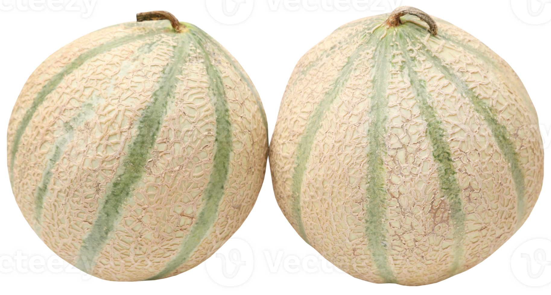 Cantalupo o melón png