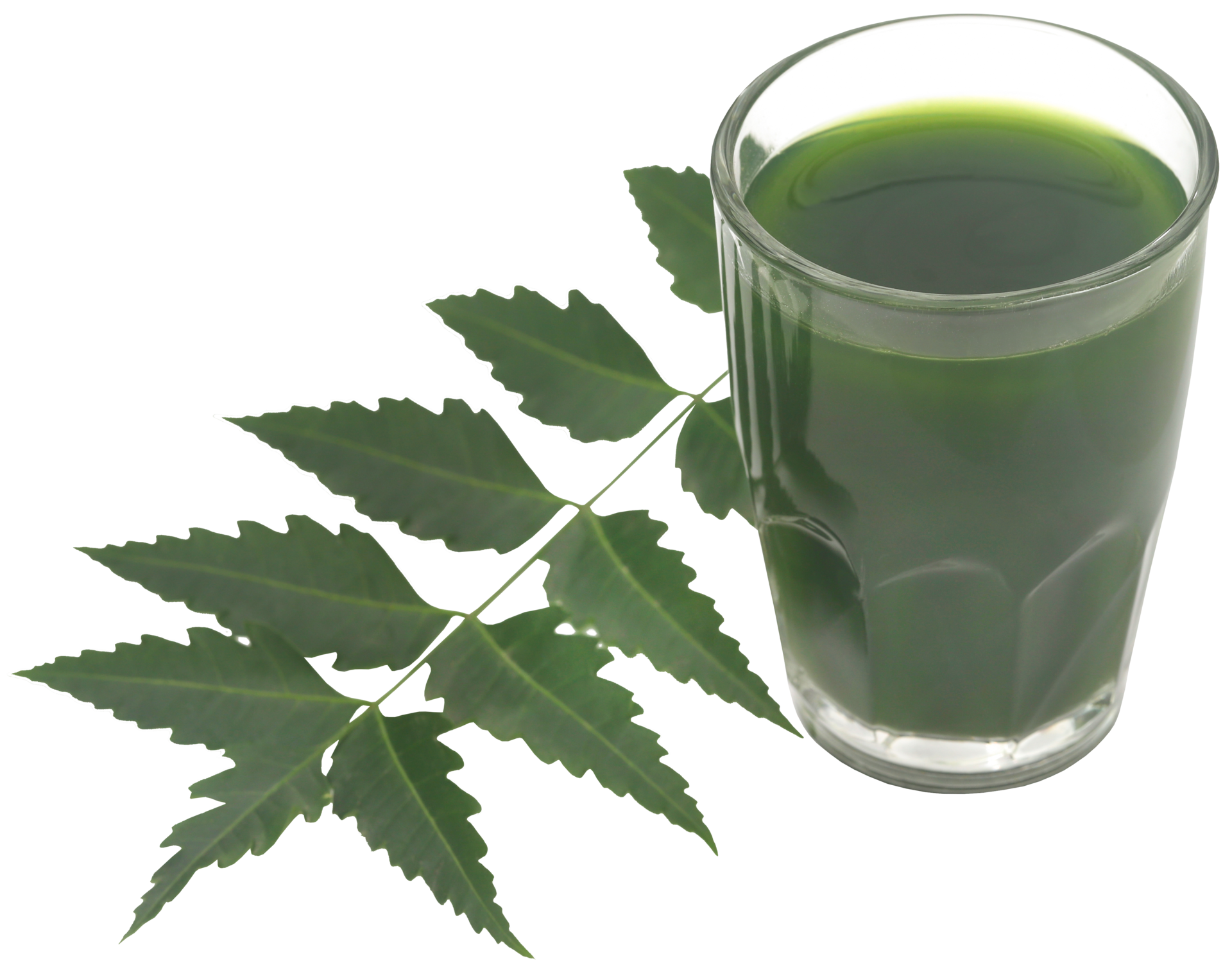 Medicinal neem leaves with extract 31097768 PNG
