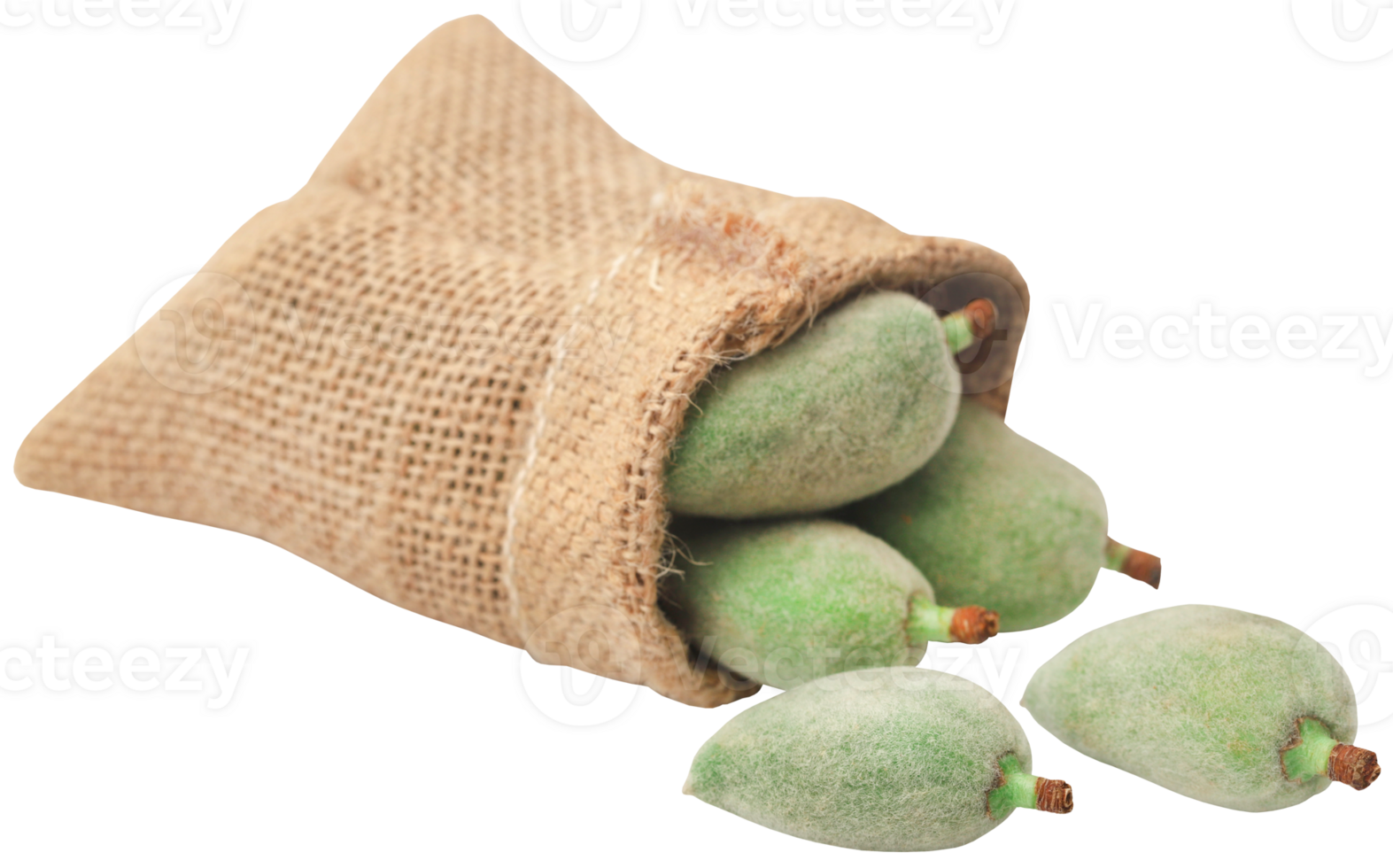 Green almond in a jute sack png