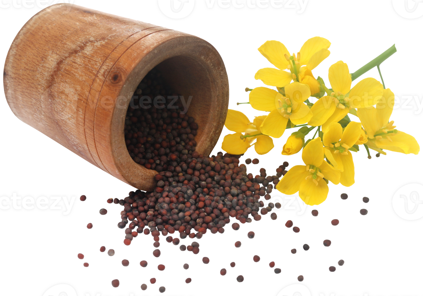 Closeup of mustard flowers png