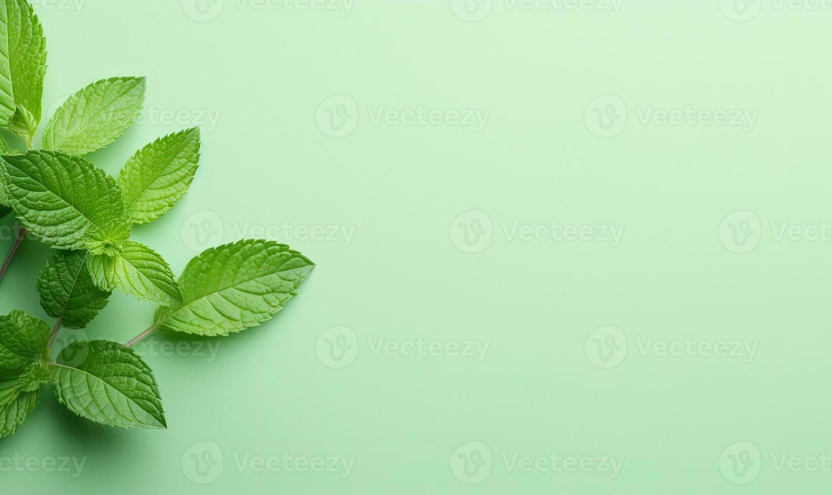 Fresh meadow mint leaves twig on a pastel green background. Created by AI photo