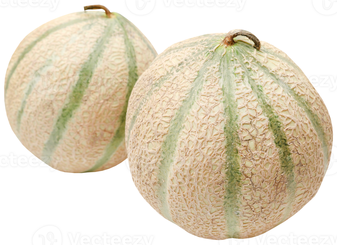 Cantaloupe or rockmelon png