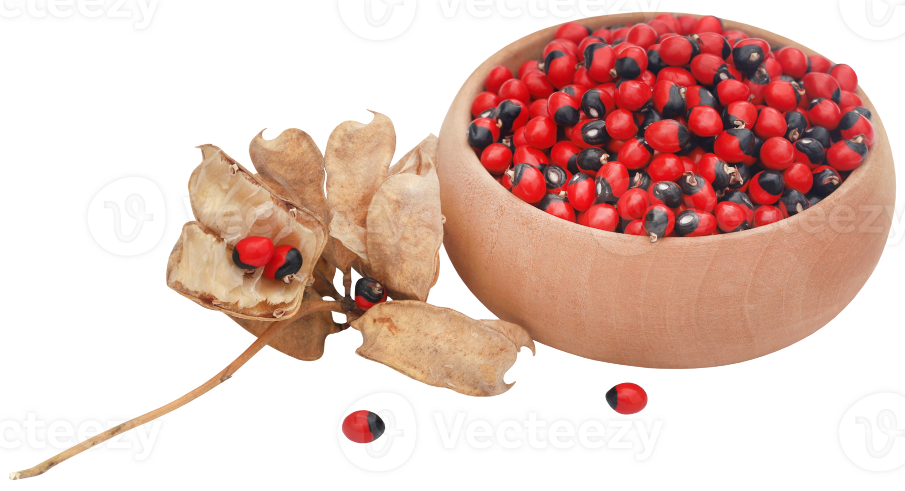 Abrus precatorius or Indian liquorice Seeds png