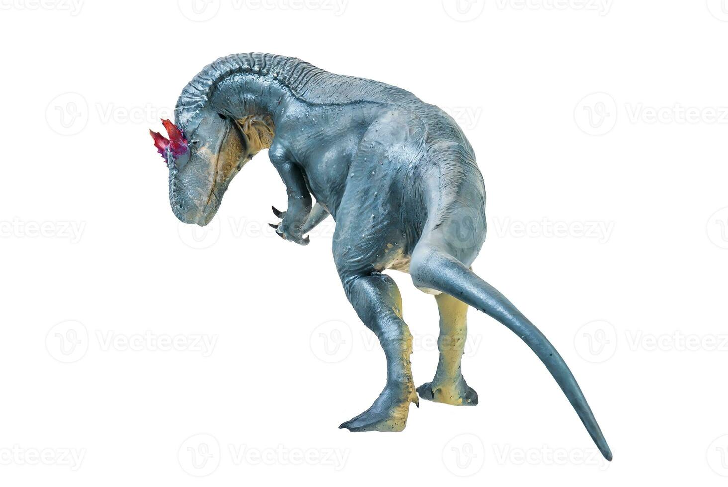 Allosaurus   dinosaur isolated background photo