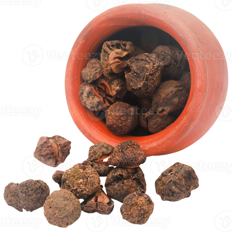dried-amla-fruits-png.png