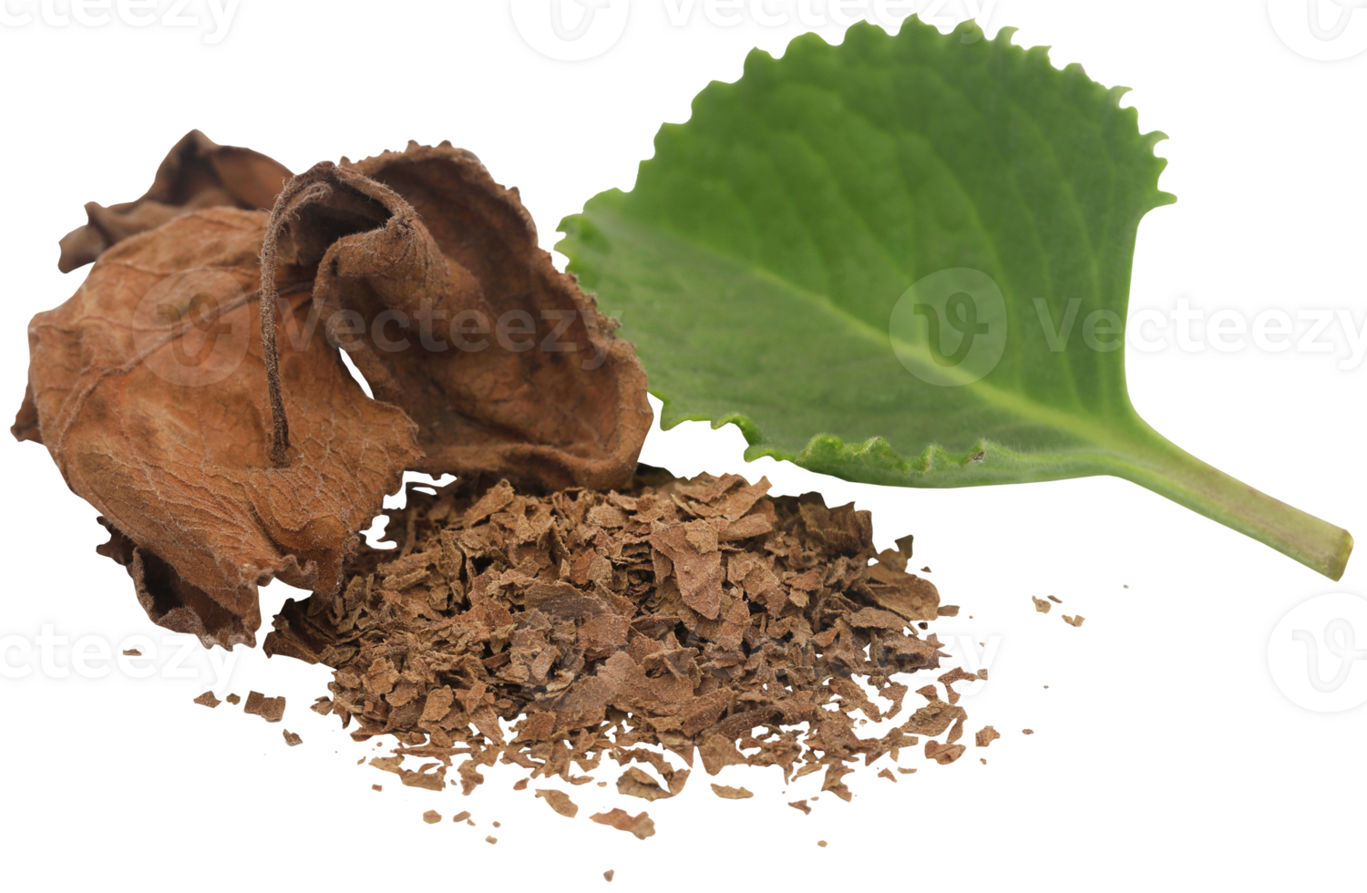 Oregano leaves isolated png
