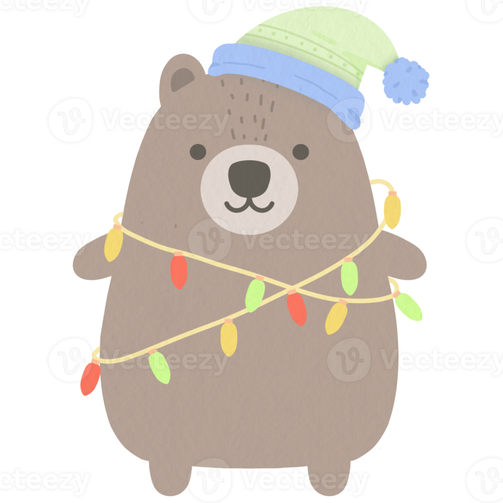 Winter teddy bear with festive lights png
