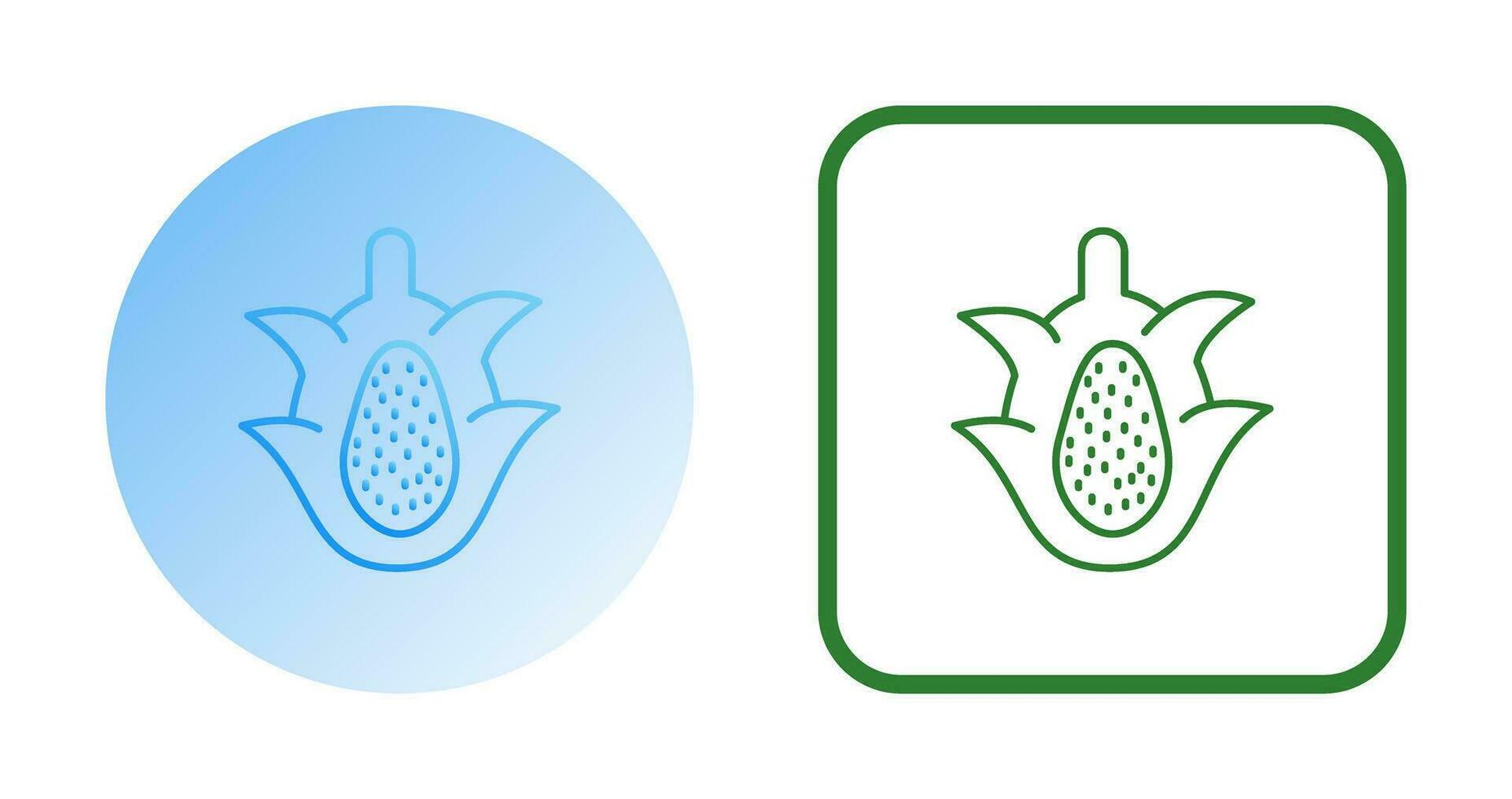 icono de vector de fruta de dragón