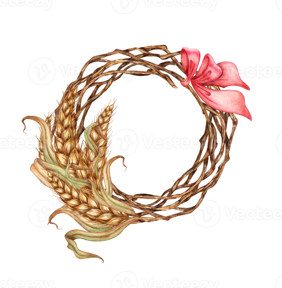 Watercolor illustration of a wreath of ripe dried wheat leaves and twigs with a red bow. Round frame isolated. For menus, banners, poster printing, recipes, labels, packaging png
