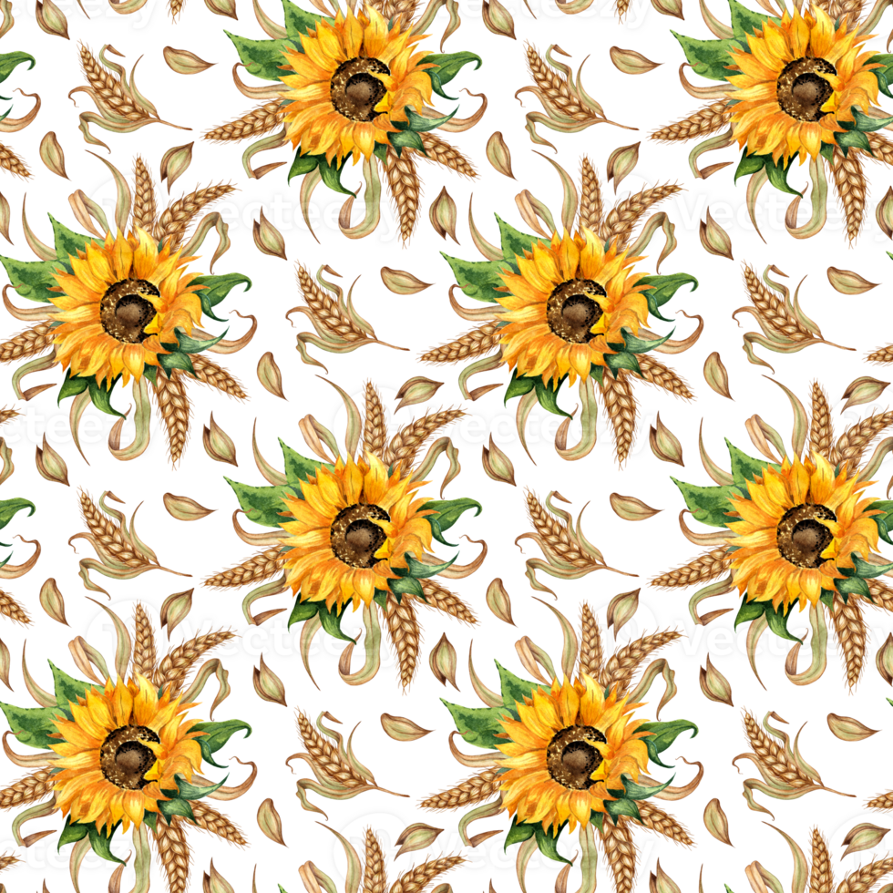 acuarela floral ilustración. modelo de girasoles, trigo orejas y granos aislado . diseño para publicidad, cerveza festival, embalaje, etiqueta, cosecha festival. png