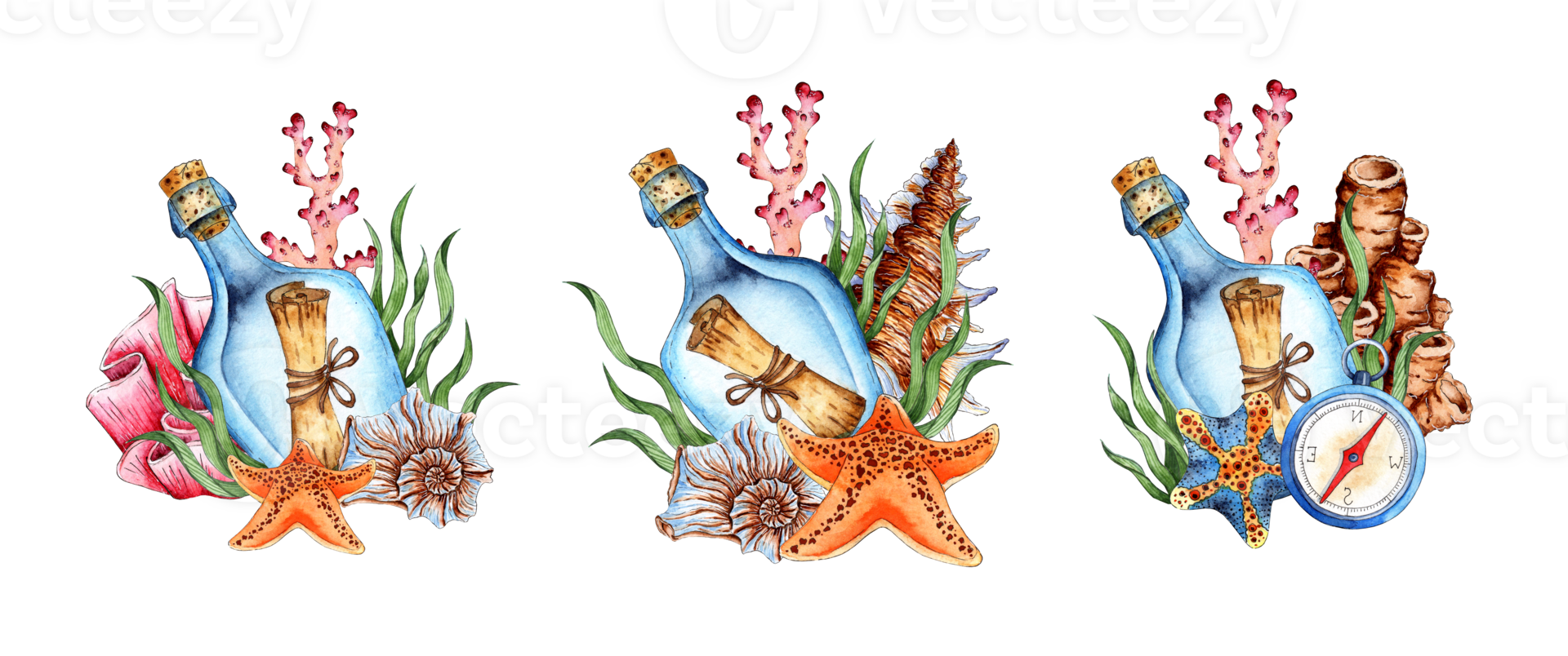 Watercolor illustration set of bottle with message, algae, coral, starfish and compass. Tropical marine clipart. Composition for the design of souvenirs, postcards, posters, banners, menus, labels png