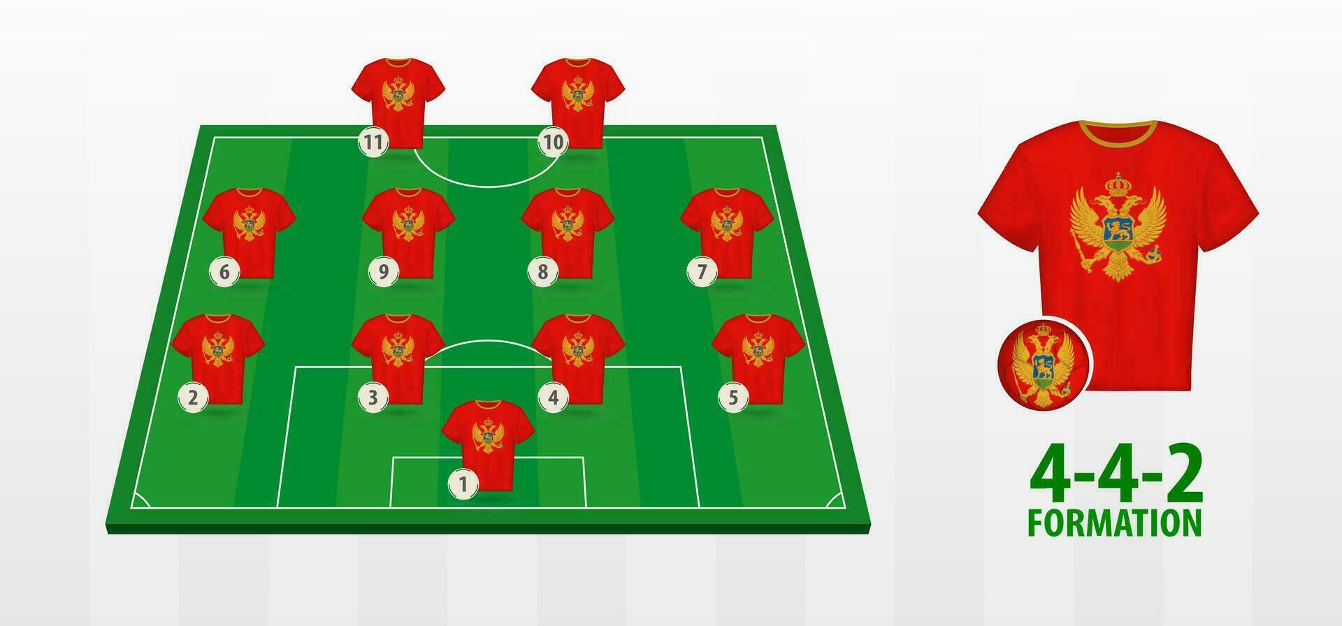 Montenegro National Football Team Formation on Football Field. vector