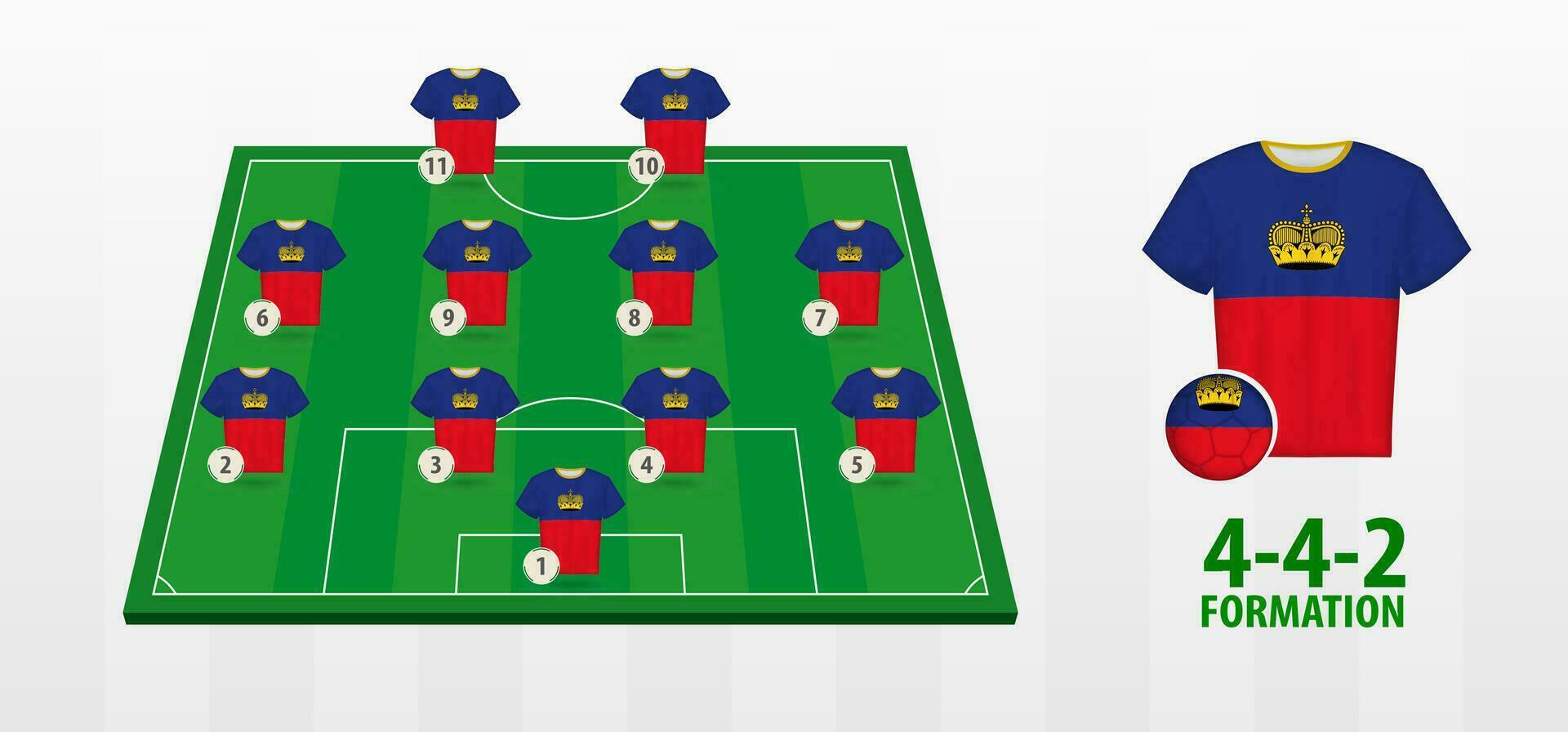 Liechtenstein National Football Team Formation on Football Field. vector