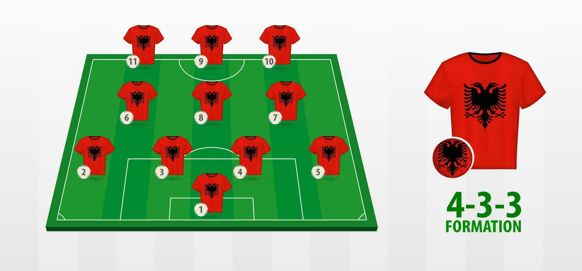 Albania National Football Team Formation on Football Field. vector