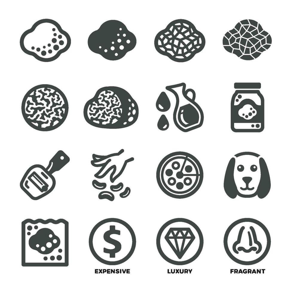 truffle icon set,vector and illustration vector