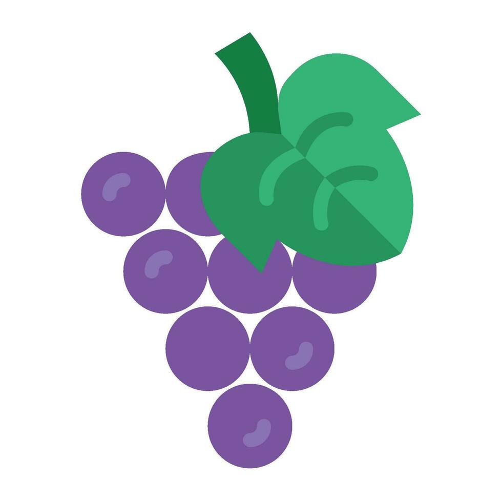 grape flat icon,vector and illustration vector