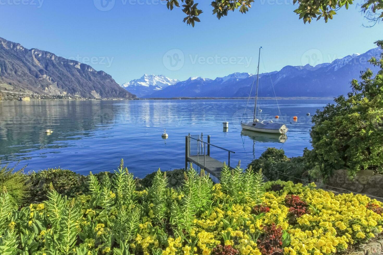 Colorful springtime flowers at Geneva lake and Alps mountains in the background, Montreux, Switzerland. photo