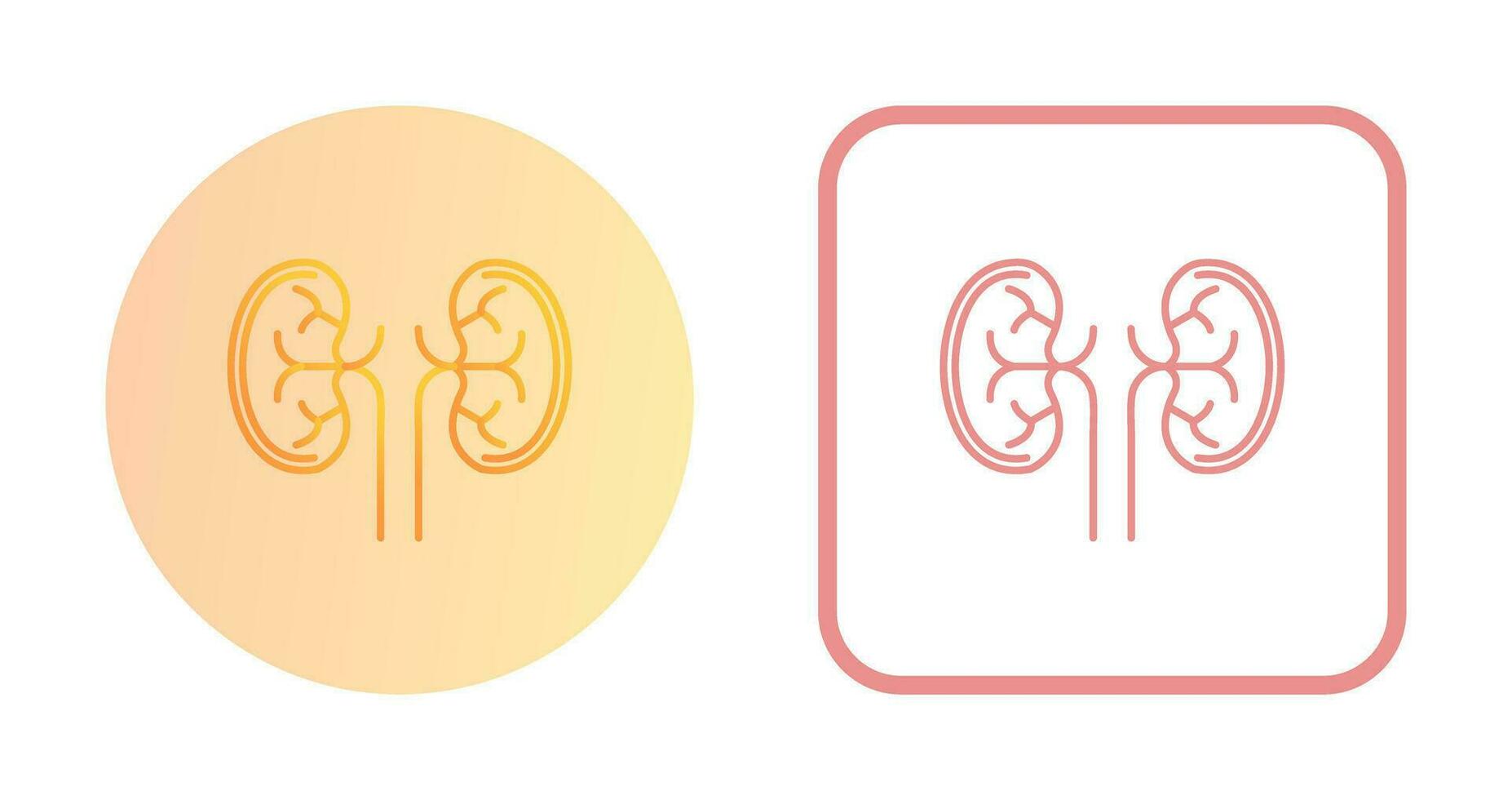 Kidney Vector Icon