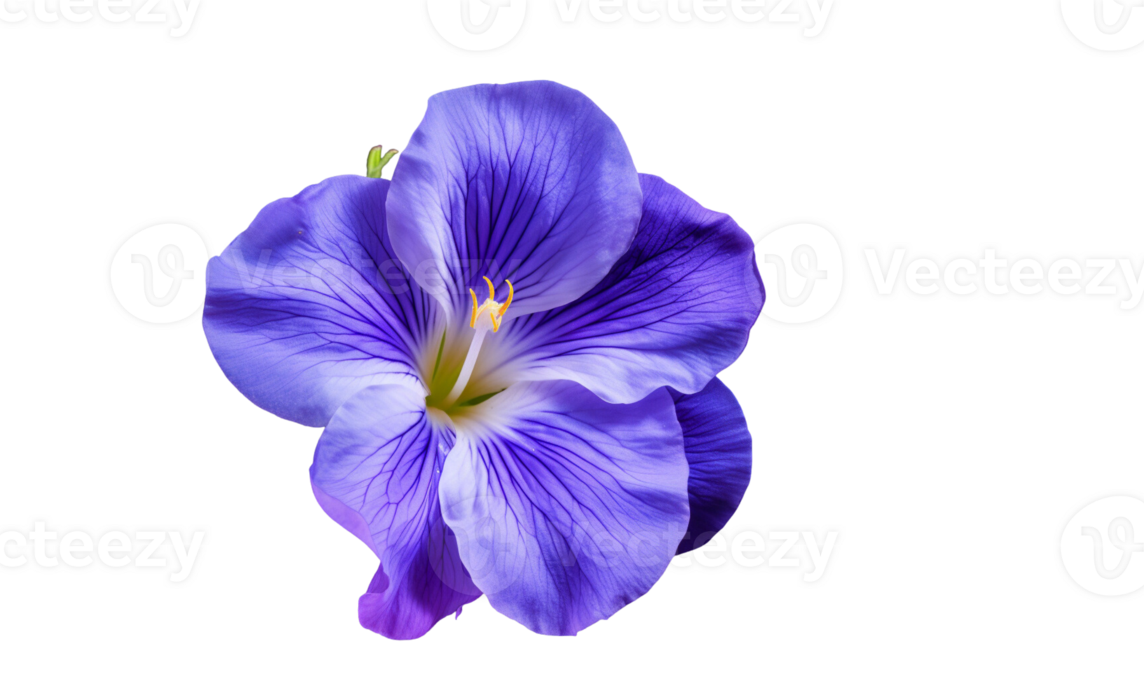 AI Generated iris flower bouquet blue isolated png