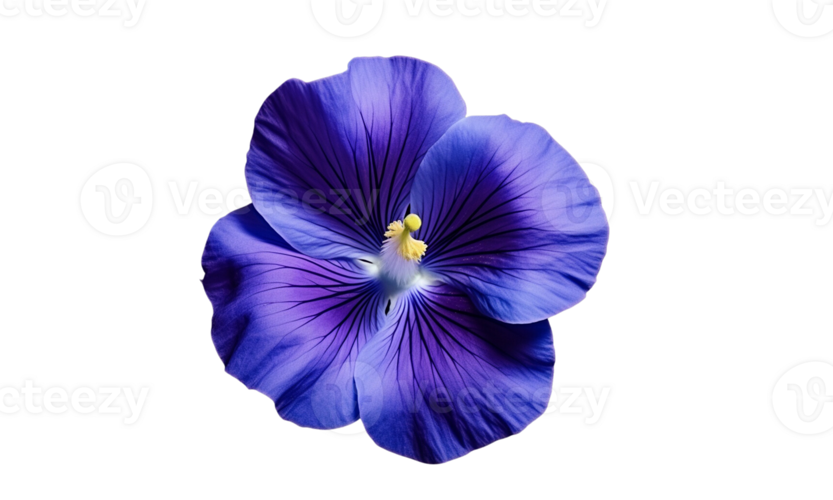 ai generiert Iris Blume Strauß Blau isoliert png