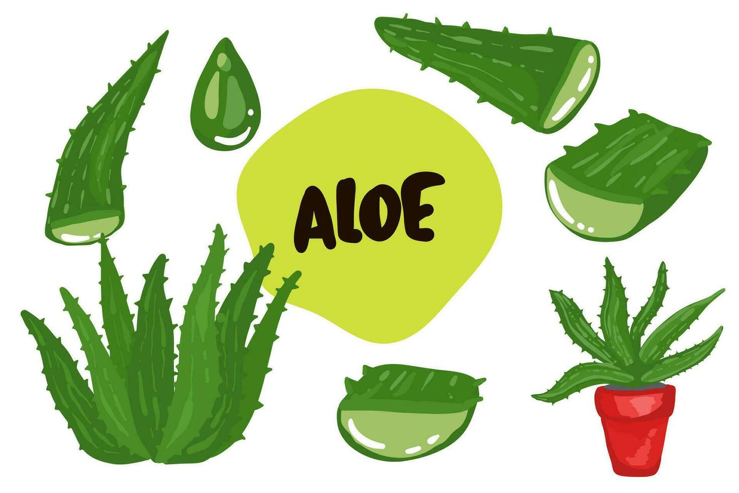 áloe vera medicinal planta hojas esquejes y jugo gotas elementos colección en transparente antecedentes realista vector ilustración,