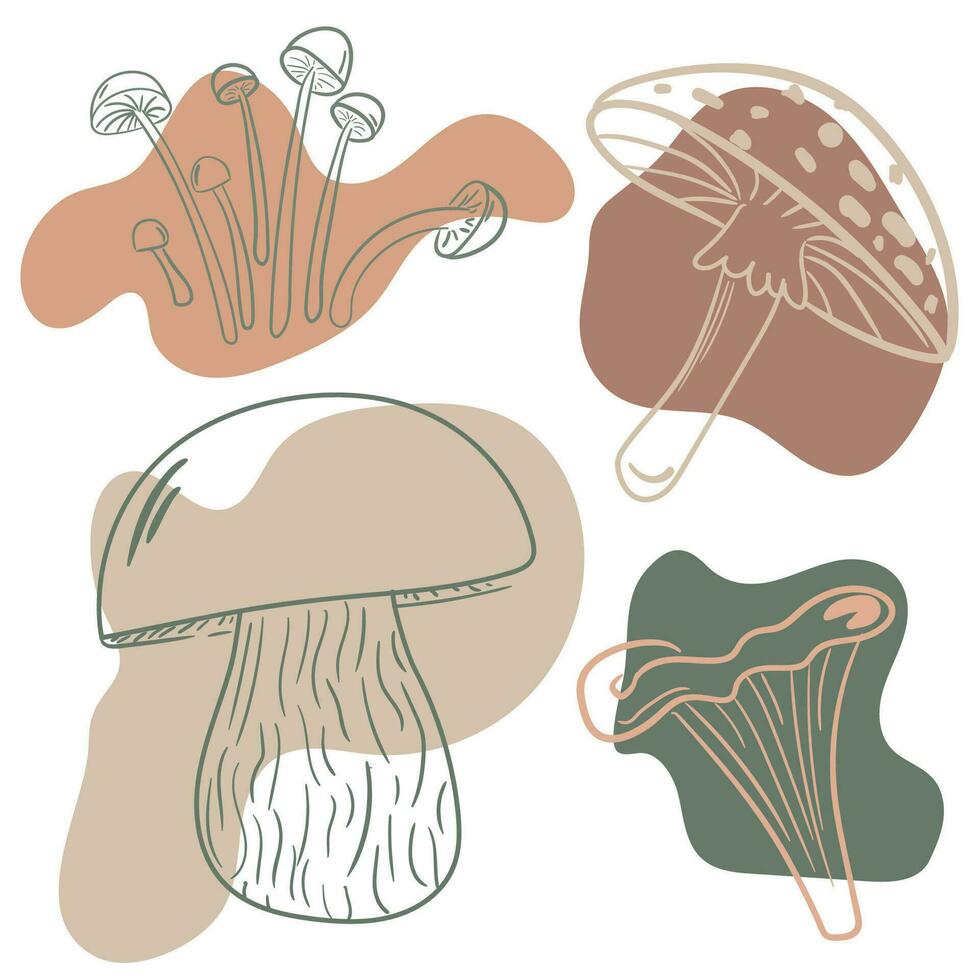 Mushroom set of vector illustrations isolated on white. White mushroom, chanterelles, honey agarics, mushrooms, fly agarics, morels. Cartoon style.