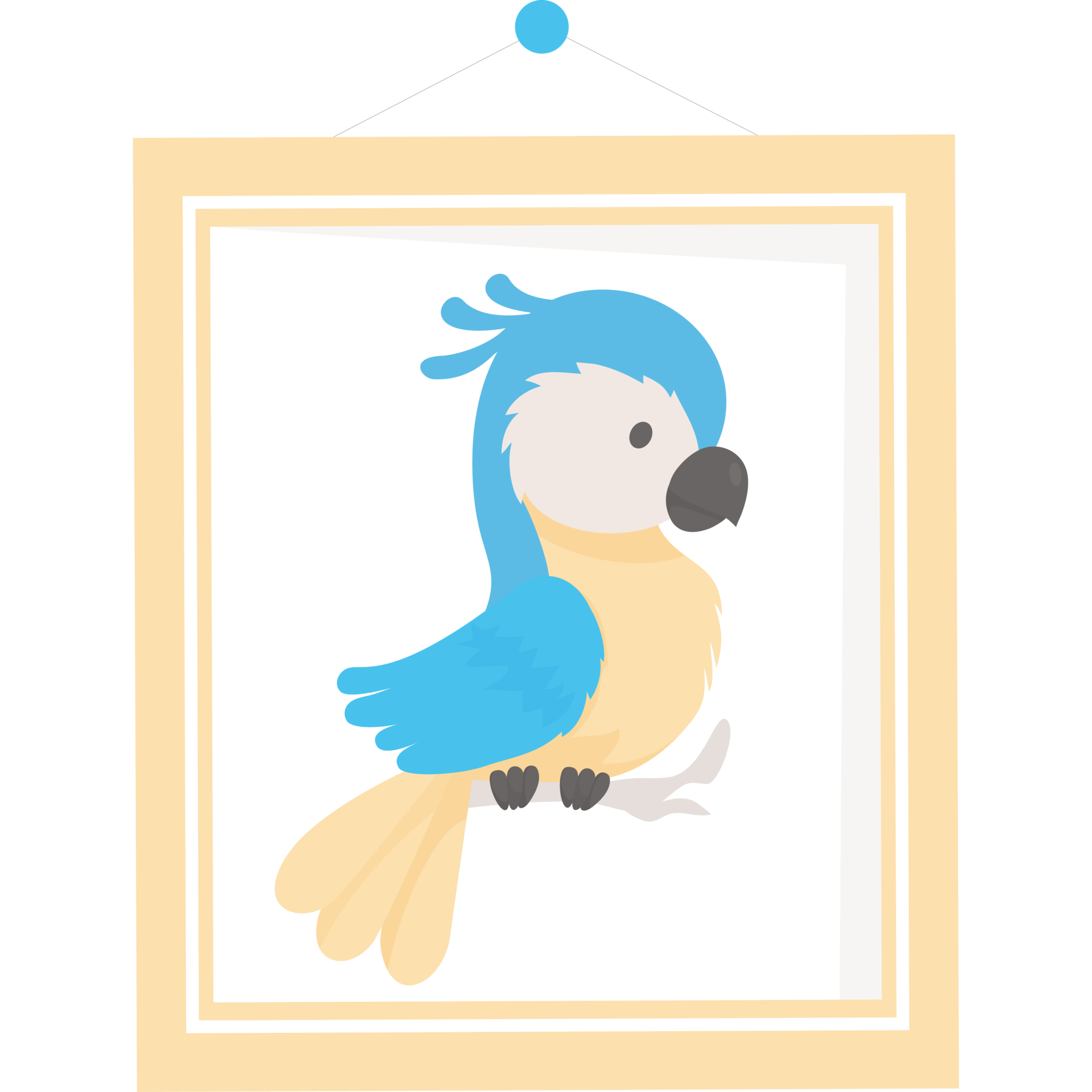 Photo frame of parrot 31113919 PNG