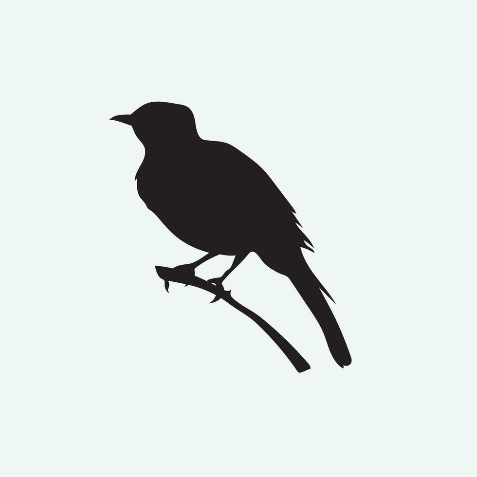 pájaro vector png