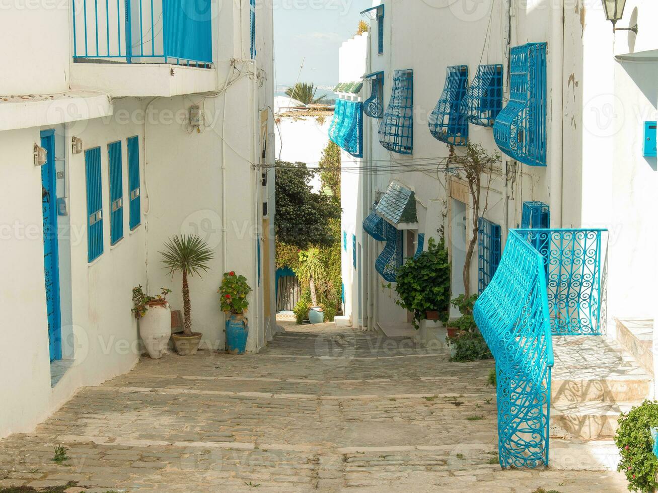 the old city of  Tunis photo