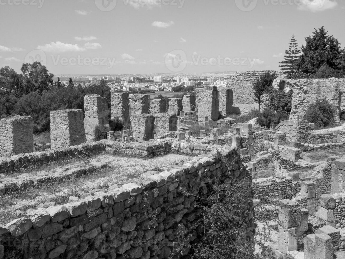 the old city of Tunis photo