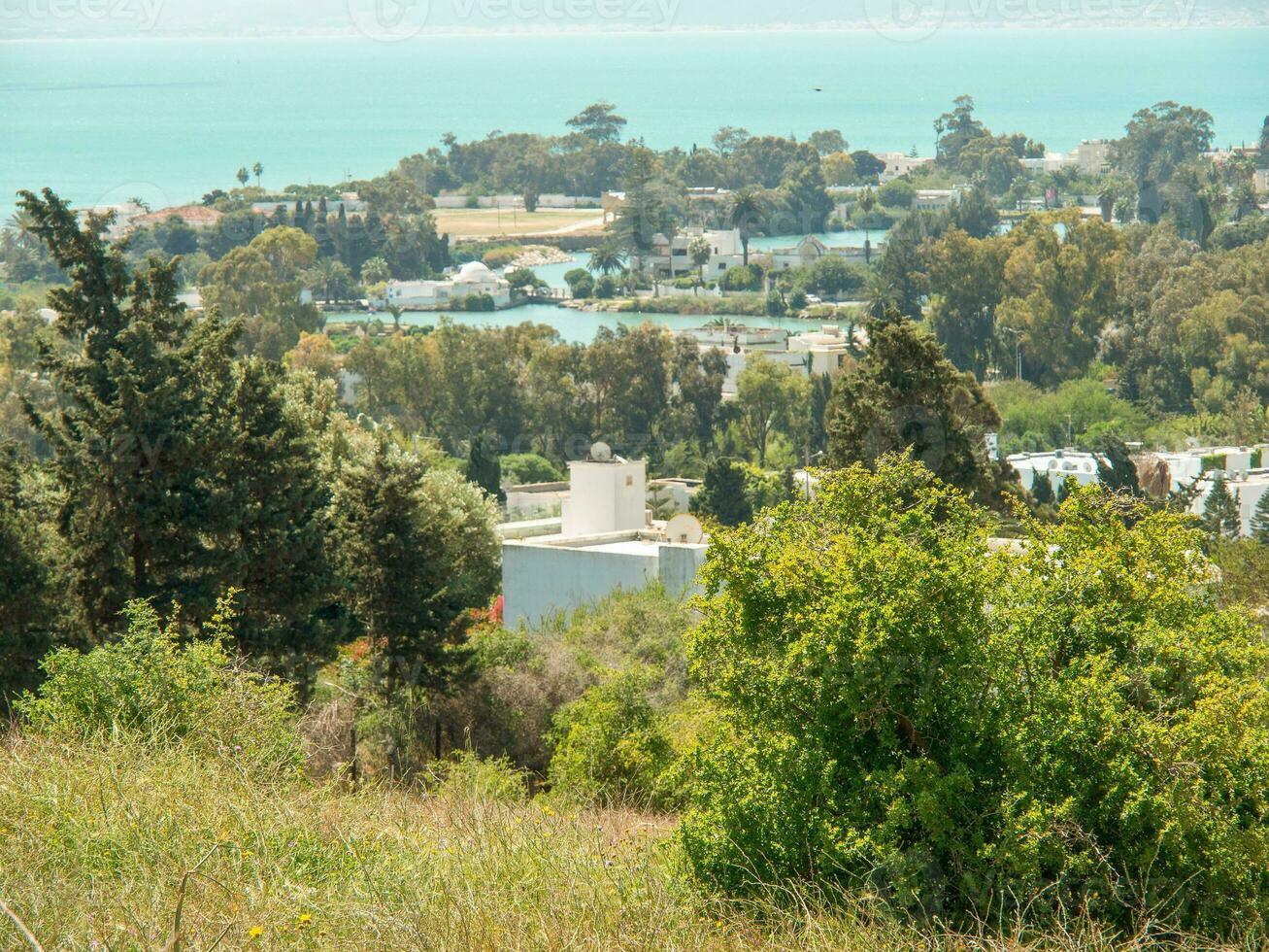 the city of Tunis photo
