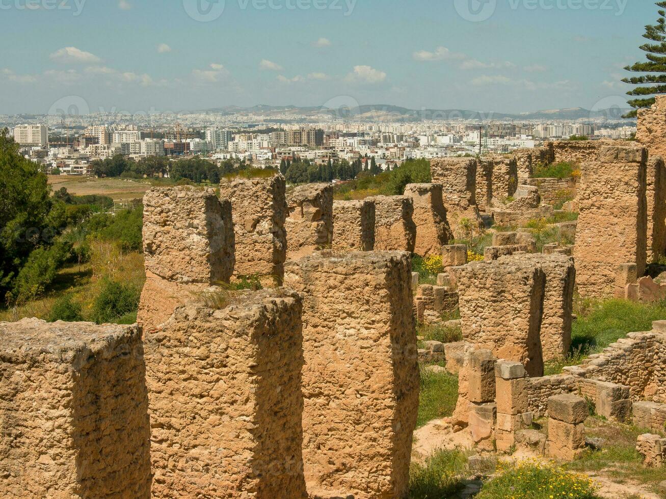 tunis city in tunisia photo