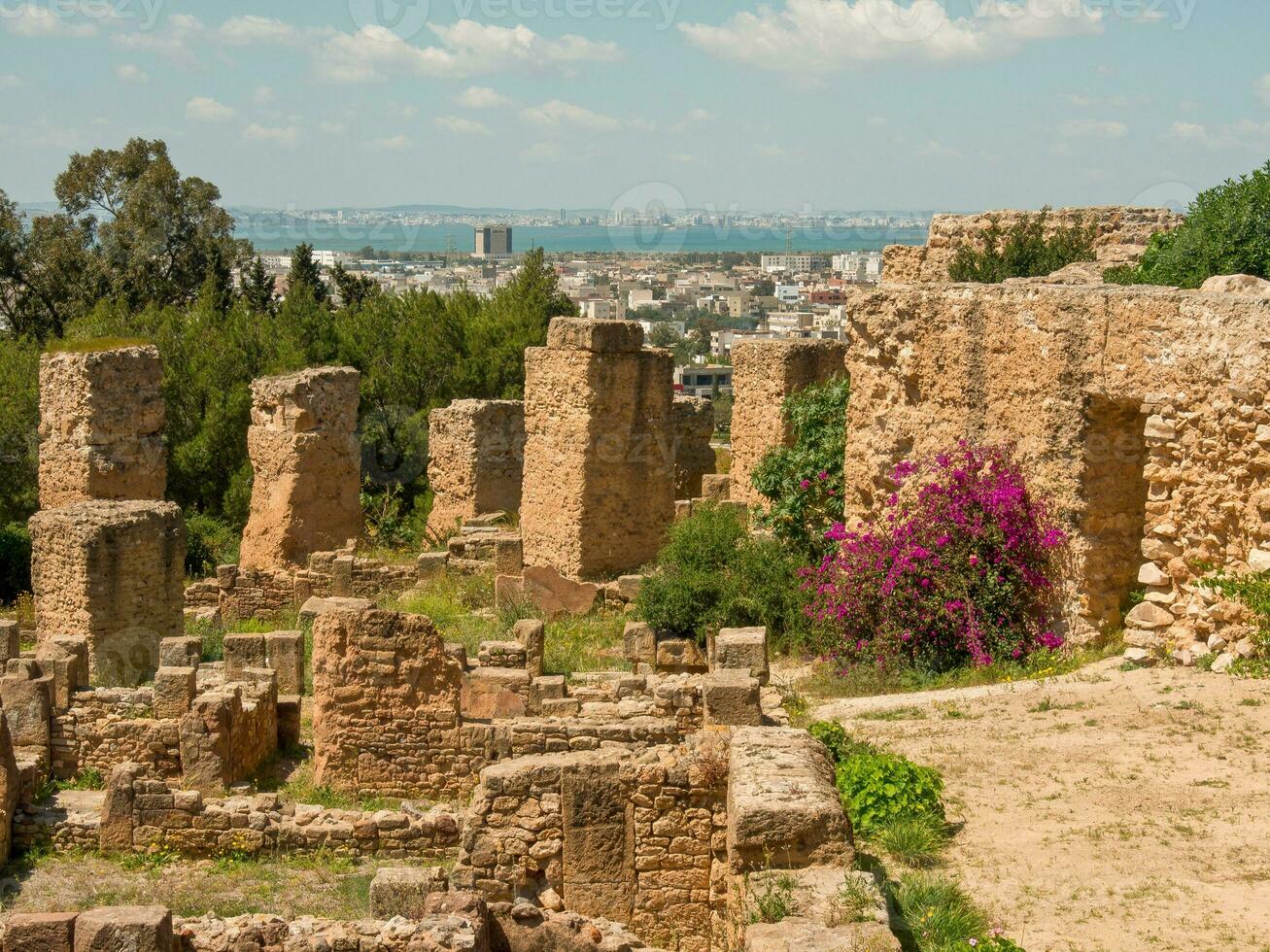 tunis city in tunisia photo