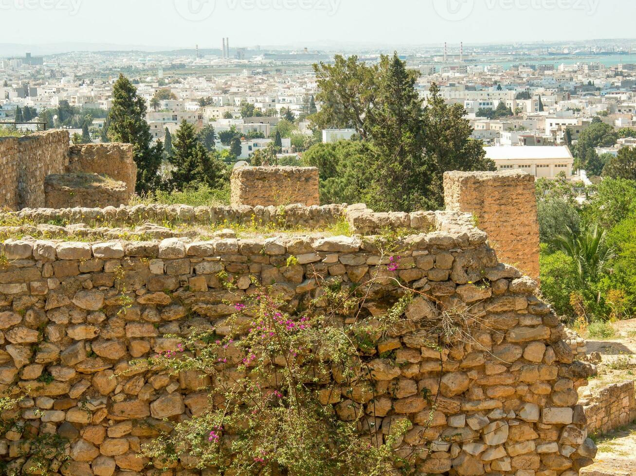 tunis city in tunisia photo