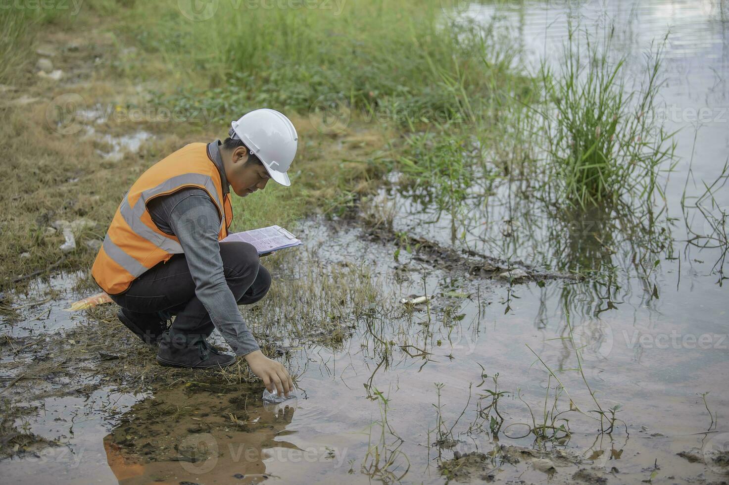 Environmental engineers inspect water quality,Bring water to the lab for testing,Check the mineral content in water and soil,Check for contaminants in water sources. photo