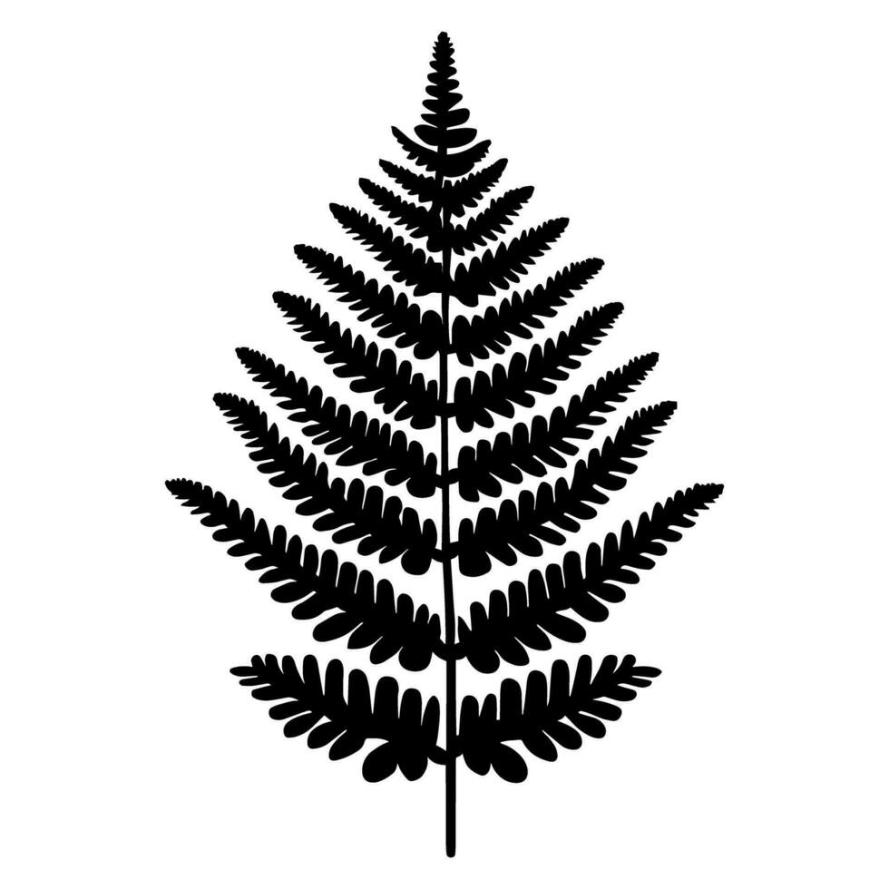 Fern leaf silhouette. Vector illustration