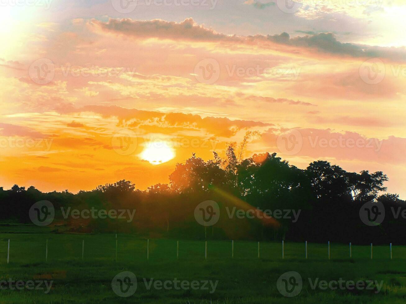 As the sun gracefully dips below the horizon, nature dons its evening gown. The sky blazes with hues of amber and lavender, the world bathed in a tranquil, golden embrace. photo
