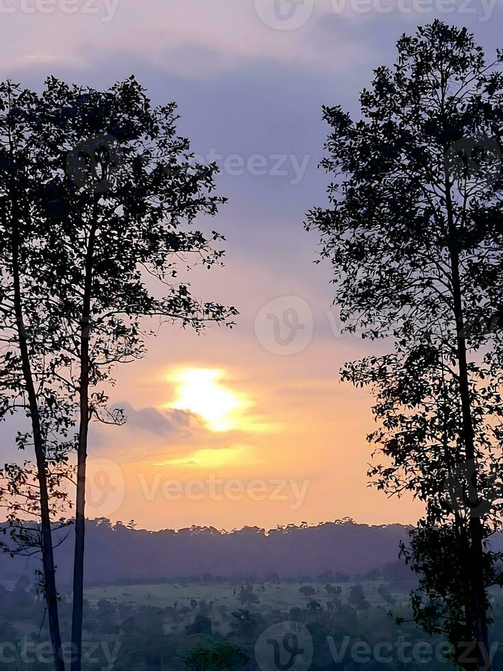 Lost in nature is enchantment, where each sunrise paints the sky anew, the wind is whispers tell ancient tales, and every leaf dances to life is hidden rhythm. photo